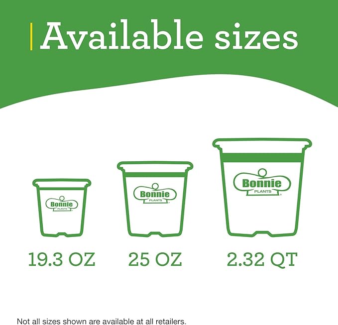 Bonnie Plants Green Bell Pepper Live Vegetable Plants - 4 Pack, Non-GMO, 2 - 3 Ft Plants, 4.5 x 4 Inch Pepper Size