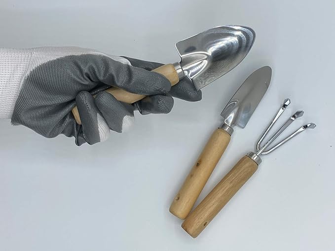 RyKing Small Garden Tool Set, 8 Piece Gardening Balcony Mini Kit Bag, Trowel Transplanter Hand Rake Pruner Snips Shovel Gloves Watering Spray, Stainless Steel Wooden Handles, Gift for Woman Men Kids