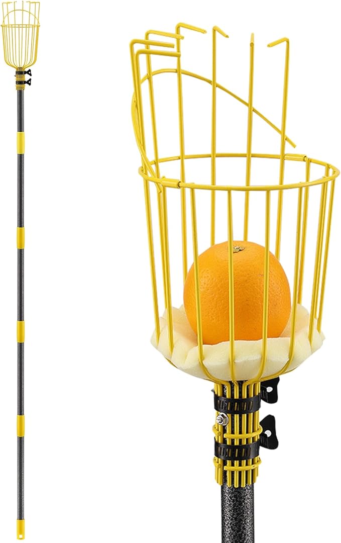 Fruit Picker Pole with Basket Telescopic Pole, 5ft Extendable Fruit Catcher Picking Pole Garden Tools for Picking Fruit from High Apple Cherry Orange Mango Fig Lemon Avocado Fruit Trees