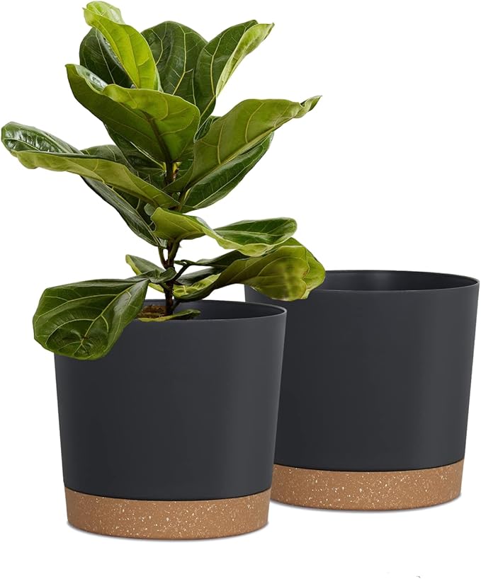 kubvici Plant Pots for Indoor Plants, 2 Pack 8 Inch Plastic Flower Pot Planters with Drainage Saucer for Indoor Outdoor Garden Home (8” Black)