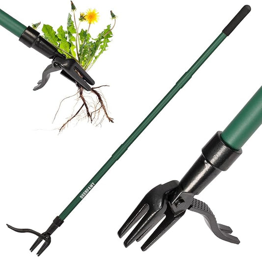 DEERFAMY Stand Up Weed Puller Tool with Long Handle, Garden Weeder Tool with 4-Claw Steel Head Design, Manual Weeder with 3-Metal Structure, Effortless Weeding Without Bending, for Dandelions, Green