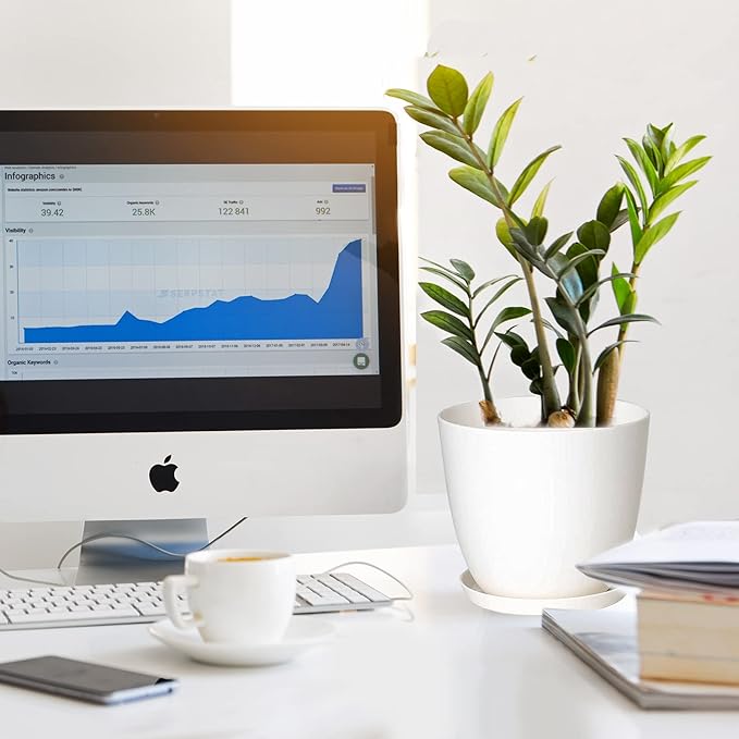 Plant Pots, 12 Pack 6 inch Modern Plastic Planters with Drainage Holes and Saucers for Indoor Outdoor Plants and Flowers, White