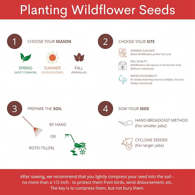 6,000+ Seeds - Protect Monarch Butterflies Wildflower Mix - 27 Wild Flower Varieties - Pollinator - Perennial & Annual Flowers Milkweed, WallFlower, Zinnia - Planting Outdoor Spring - 1 oz