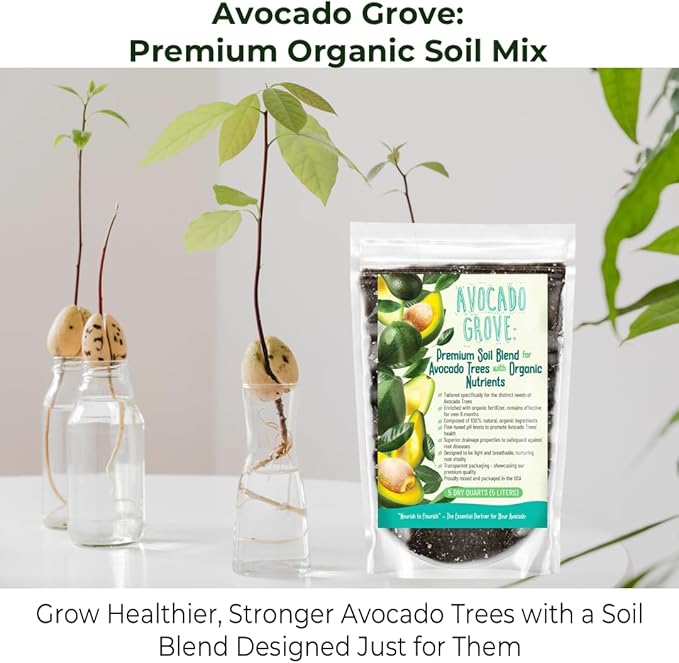 Avocado Tree Soil – Premium Organic Potting Mix for Avocado Trees | Tailored pH & Organic Nutrients | Fast-Draining & Moisture-Retaining | Indoor & Outdoor Use (2 QUARTS)