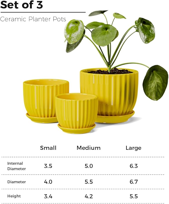 Ton Sin Ceramic Flower Pots,Yellow Plant Pots for Indoor Plants,4.1+5.1+6.5 inch Ceramic Plant Pots with Tray,Medium Indoor Planters for Aloe Cactus Decorative Pots with Drainage Hole (Set of 3)