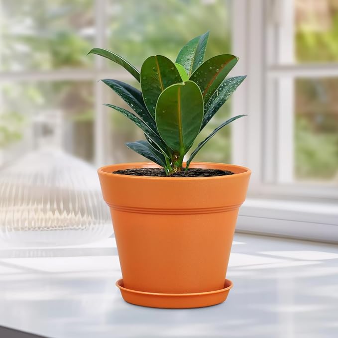 6 inch Small Plastic Nursery Pots, Seedling Pots, 16 Pack Plant Pots for Indoor Outdoor Plants, Flower Pots with Drainage Holes and Saucers, Decorative Planters for House Plants, Terracotta