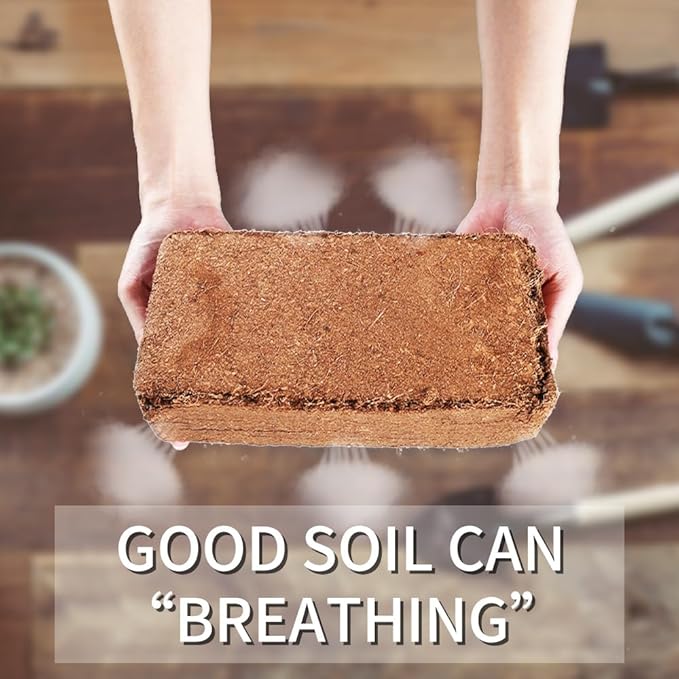 Coconut Coir Brick, 6 Pack 8.6 Pound Coconut Fiber Block, Organic Nutrition Soil for Plants and Flowers, Great Seed Bed (6)