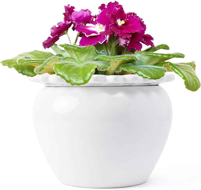 African Violet Pots 8 inch White Ceramic Easy Plant Self Watering Pot Ceramic Flowerpot with Water Absorbing Inner Pot Orchid Planter for Best Gifts Lawn Yard Outside Decor