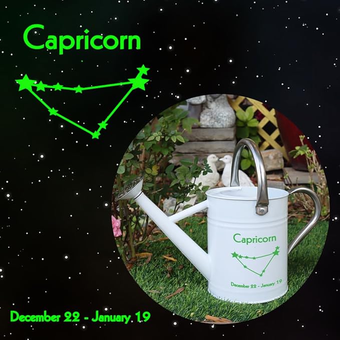 Metal Watering Can for Outdoor and Indoor Plants, Watering Can Decor, 1 Gallon (Capricorn)