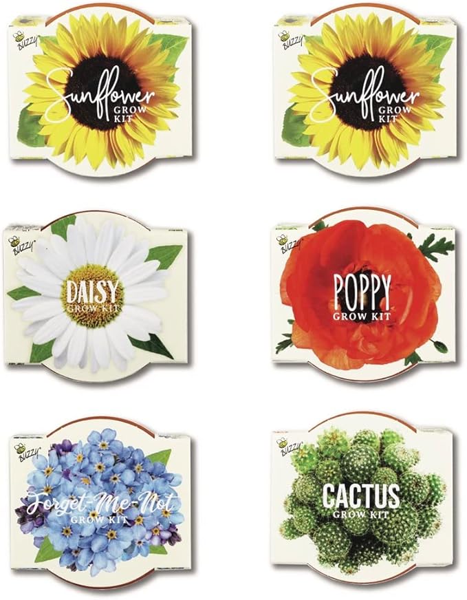 Buzzy Seeds Terracotta Mini Grow Pots | Herb, Plant, Flower Starter Kit for Kids & Adults | Assorted 6-Pack, Daydream Collection | Guaranteed to Grow | Best Indoor-Outdoor Gardening Gift