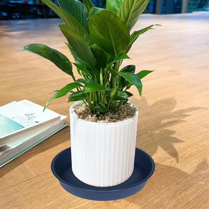 6 Pack of 6 inch Plant Saucer Drainage Tray, 4 5 7 8 10 12 13 15 17 19 inch Plastic Plant Water Tray, Flower Saucers for Indoors, Plant Dishes for Pots Base (6 inch, Blue)