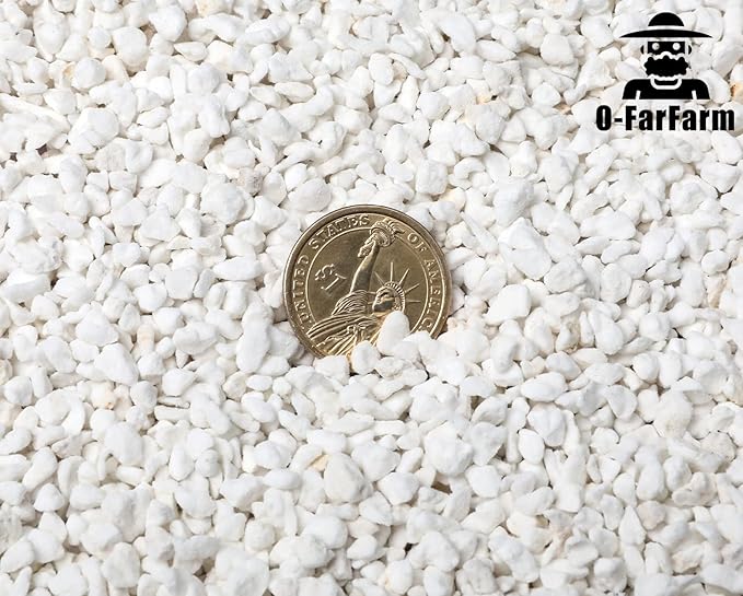 Chunky Perlite Bulk, Horticultural Pearlite Coarse Perlite for Plants Indoor, Additive Conditioner Mix, Improve Drainage and Ventilation, Help Root Growth (4-8mm, 2qt)