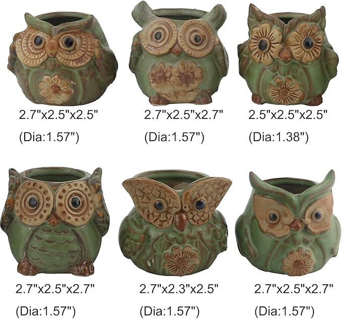 Ogrmar 6Pack Owl Plant Window Boxes Cute Owl Flower Pot/Modern Ceramic Succulent Planter Pots/Tiny Flower Plant Containers Animal Decor