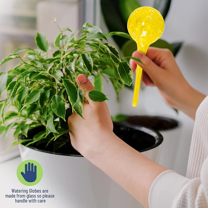 6 Small Plant Watering Globes - Plant Watering Devices - Plant Watering Bulbs - Self Watering Spikes - Hand Blown Glass - Self Watering Planter Insert - Free Moisture Meter - by Cotswold Homeware