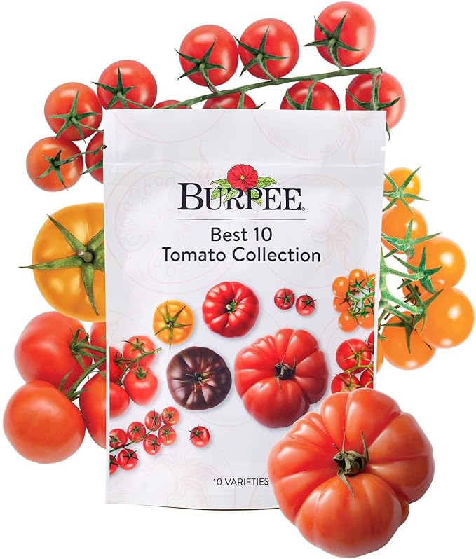 Burpee Best 10 Non-GMO Planting Tomato Seeds for Garden Gifts (1 Pack)
