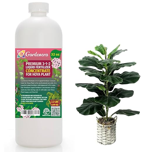 Premium Liquid Fiddle Leaf FIG Plant Fertilizer - 3-1-2 Concentrate for Indoor Plants and Flowers by Gardenera | Organic Plant Food for Fiddle Leaf Fig - 32oz