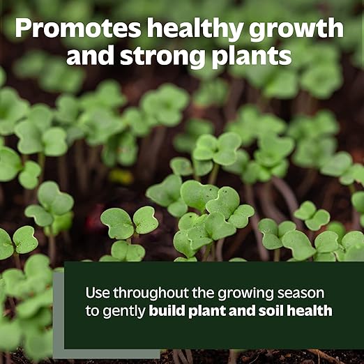 Organic All Purpose Fertilizer - Natural Herb, Vegetable & Tomato Fertilizer - Kelp & Alfalfa Meal for Strong & Healthy Plants & Soil - 2lbs