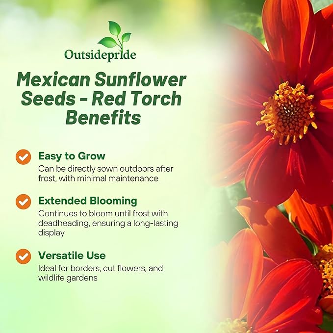 Outsidepride Red Torch Mexican Sunflower Seeds - 2000 Seeds Annual Tithonia, Fast-Growing, Heat & Drought-Tolerant Flower Seeds for Pollinator Gardens, Landscapes, & Flower Arrangements (AAS Winner)
