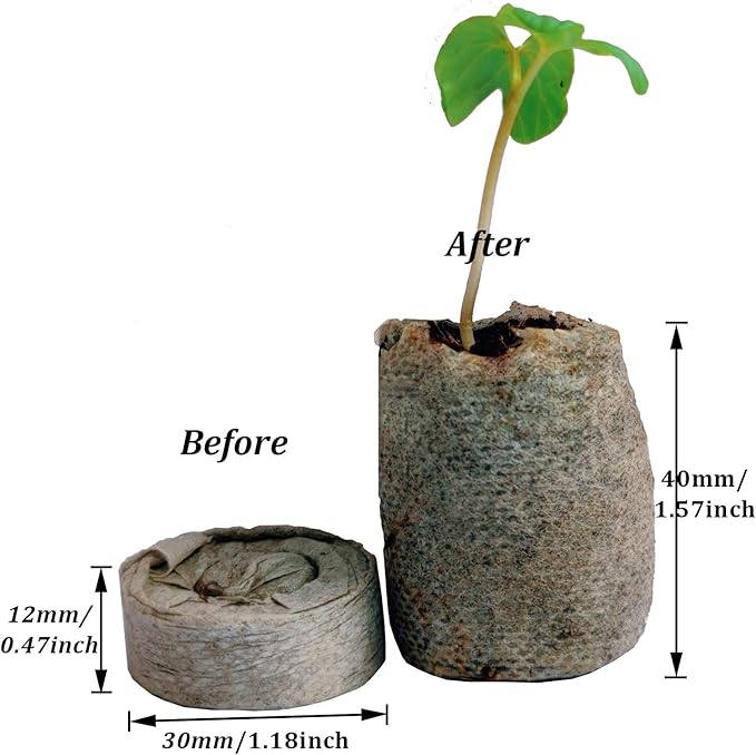 100 Pcs Peat Pellets Seed Starting Plugs Pellets Seedling Soil Block 30mm Nursery Soil for Indoors Garden Flowers Seedling Planting Seeds Starter Pellet for Transplanting Planting