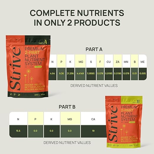 Strive Fertilizer Starter Kit Combo - Veg + Bloom General Hydroponic Nutrients - Indoor, Outdoor and Soil Growing Plant Food - Booster for Vegetables, Succulents, Flowers (Trial Combo 300 Grams)