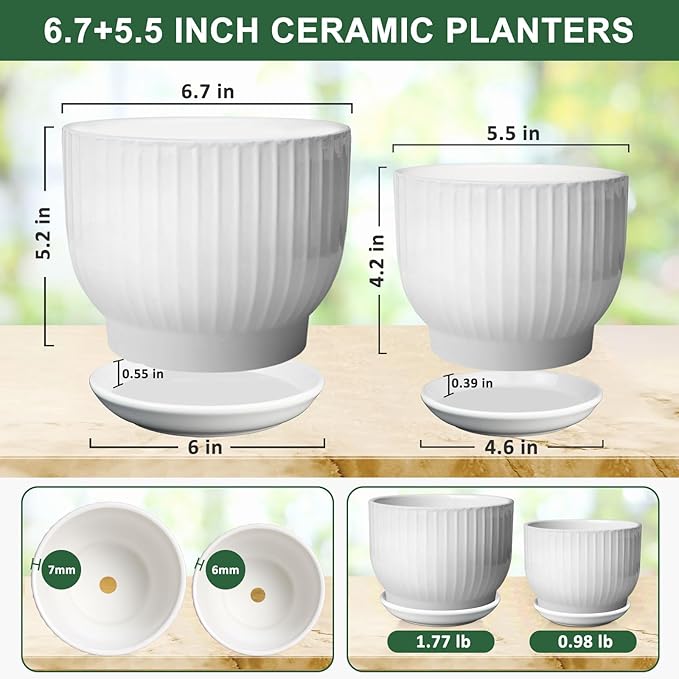6.7 + 5.5 Inch Plant Pot, Ceramic Planter with Drainage and Saucer, Ceramic Pots for Plants, Indoor Plant pots,Ceramic Flower pots（Pure White, Plants NOT Included）