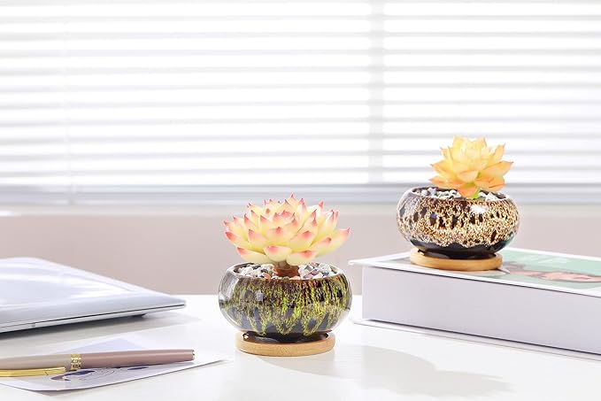Cute Ceramic Succulent Garden Pots, Planter with Drainage and Attached Saucer, Set of 5 -Plants Not Included (Vivid Colors)