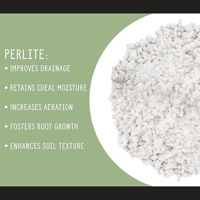 Horticultural Perlite Soil Additive (12 Quarts); for Enhanced Potting Mix Drainage and Growth