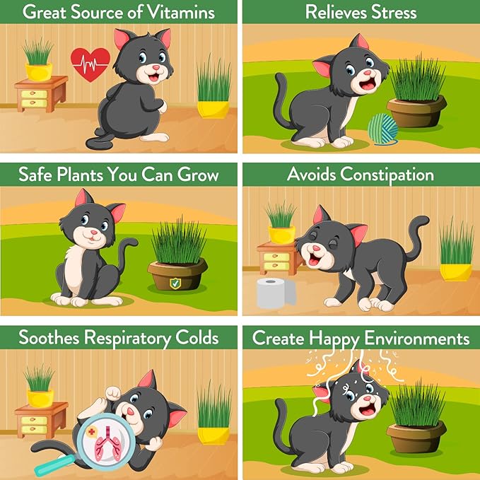 HOME GROWN Cat Grass Seeds - Grow Cat Grass for Indoor Cats - Cat Grass Seeds Bulk - Refill Cat Growing Grass Kit - Heirloom Cat Grass Seed (Cat Grass - 4pack)