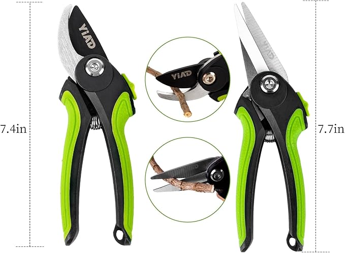 Garden Pruning Shears 2 Pack, 8" Bypass Pruning Shears and 8" Straight Garden Scissors Set, Garden Clippers Handheld, Gardening Tools for Cutting Flowers, Trimming Plants, Picking Fruits