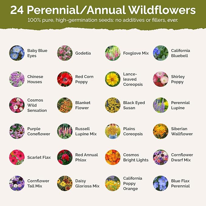 Eden Brothers Montana Wildflower Mixed Seeds for Planting, 1 oz, 30,000+ Seeds with Foxglove, Bluebell | Attracts Pollinators, Plant in Spring or Fall, Zones
