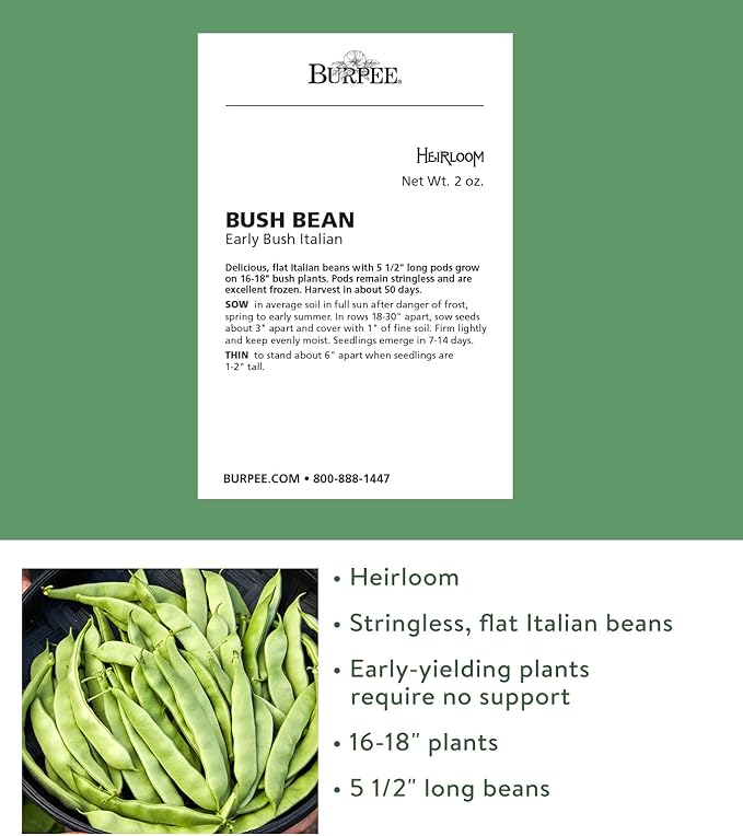 Burpee Early Italian Bush Bean Seeds 2 ounces of seed