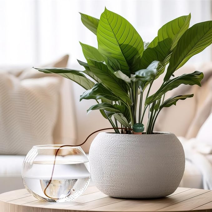 Blumat Classic Plant Watering Stakes - Self-Watering Insert for Indoor and Outdoor Plants - Automatic Slow Release Irrigation System for Potted Plants - Houseplant Care Device (12 Packs)