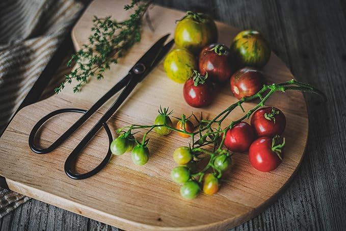 Barebones Artisan Trimming Shears - Gardening Shears and Herb Scissors - Essential Gardening Tools for Herb Gardens and Planting - Rust-resistant Garden Clippers