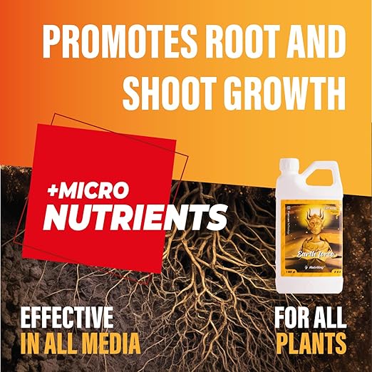 Cal Mag for Plants and Kelp Fertilizer for Plants. Use as Soil, Coco Coir, and Hydroponic Nutrients Plant Food - Earth force 2-0-0 - Calmag Plant Fertilizer Indoor Potted Plants - 1.28 Gallon (163 OZ)