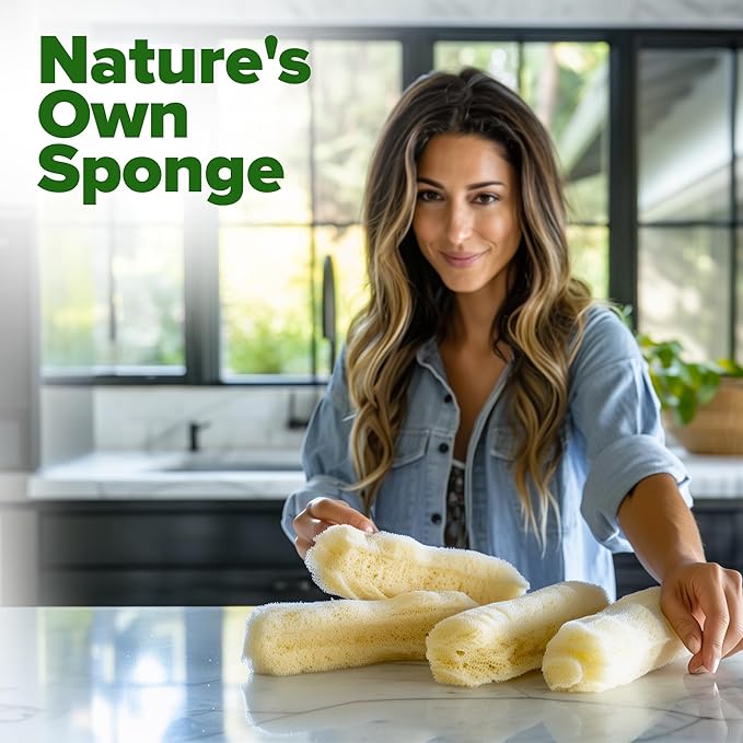 HOME GROWN Luffa Seeds 2 Pack (Luffa aegyptiaca) - 80 Heirloom Loofah Seeds. Non-GMO Loofah Gourd Seeds for Planting. High Germination Rate - Make Sponges or Harvest Young Loofahs for Eating