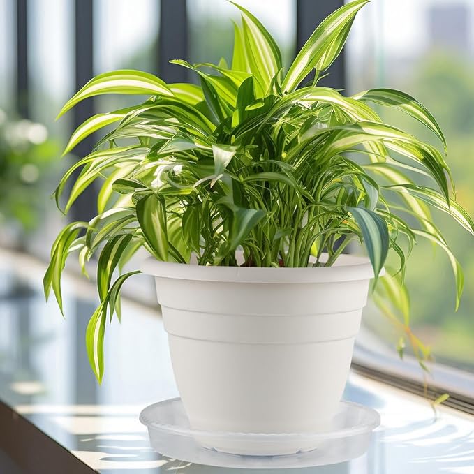5 Pack Plant Saucer for Indoor Plants, 14 Inch Clear Plant Trays for Pots, Durable Plastic Flower Plant Pot Saucer, Heavy Duty Sturdy Plant Saucer Drip Trays for Pots