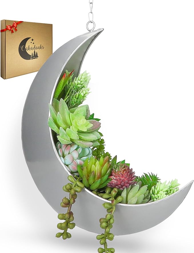 Hanging Moon Planter for Moon Room Decor - Great for Succulents, Air Plant, Mini Cactus, Faux, Artificial Plants-Boho Hanging Planters for Indoor Plants, Witchy Gifts for Women, Birthdays,Plant Lovers