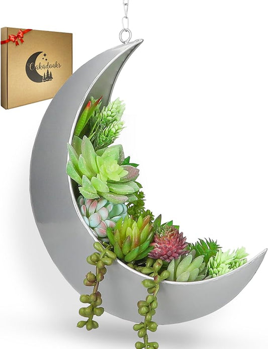 Hanging Moon Planter for Moon Room Decor - Great for Succulents, Air Plant, Mini Cactus, Faux, Artificial Plants-Boho Hanging Planters for Indoor Plants, Witchy Gifts for Women, Birthdays,Plant Lovers