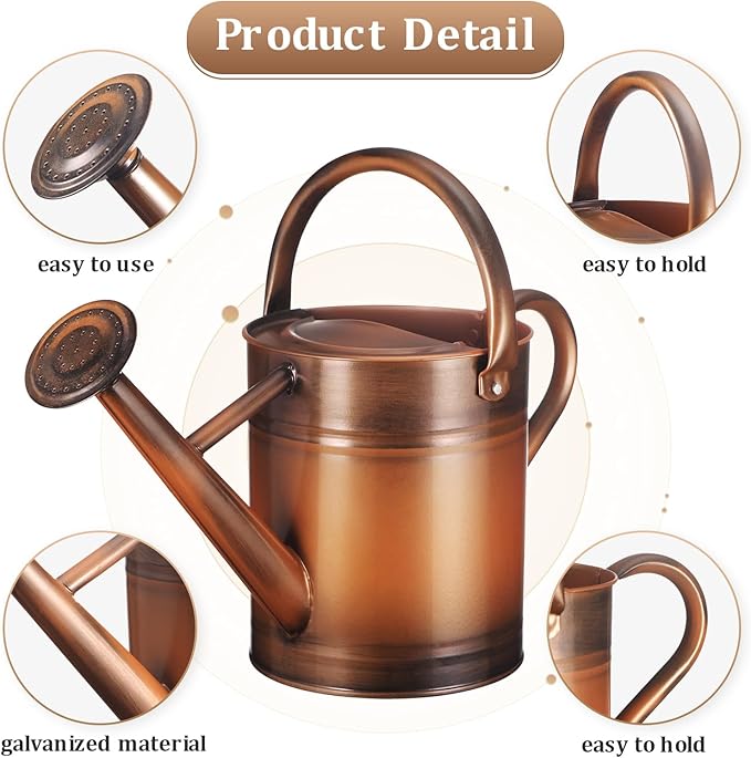 Watering Can for Outdoor Plants and Indoor Plants,1 Gallon Metal Watering Can for Garden Flower,Galvanized Steel Metal Water Can Watering Pot with Sprinkler Head