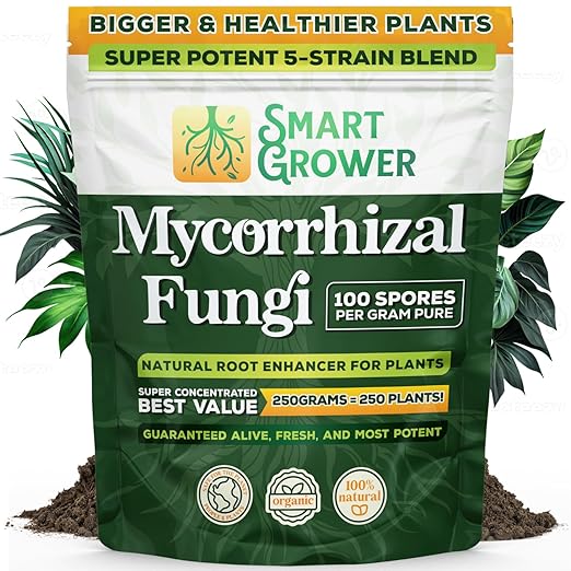 Mycorrhizal Fungi Organic Root Enhancer for Plants, Super Potent 100 Spores Per Gram, 5-Strain Blend, Rapid Results for Gardens, Houseplants, Lawns, Smart Grower 250 Grams (2 Pack of 125G)