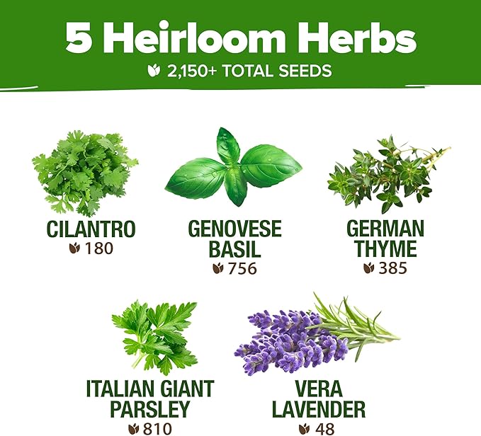 5 Herb Seeds Variety Pack - Culinary Herb Garden: Basil, Lavender, Cilantro, Parsley & Thyme Seeds for Planting Indoors/Outdoors 2000+ Non-GMO Heirloom Herb Seeds w/Bonus Markers & Grow Guide