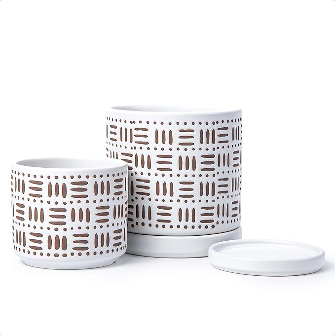 D'vine Dev Set of 2 Ceramic Planter Pots with Drainage Hole and Saucer, 4.5 Inch 6 Inch Plant Pots for Plants Indoor Houseplants, White, 99-F-1