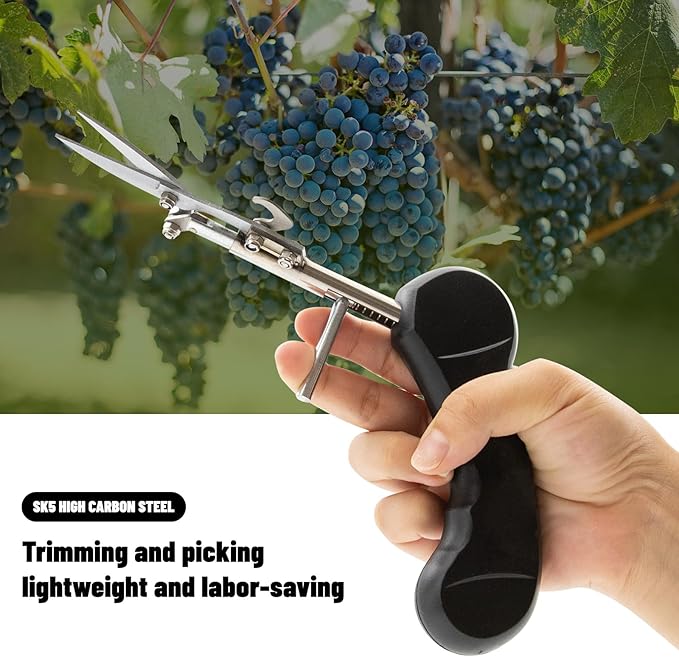 Pointed Stainless Steel Gardening Shears, Hand Pruners, Garden Clippers Handheld, Floristry Scissors, Picking Pepper Wolfberry Fruit (Black)