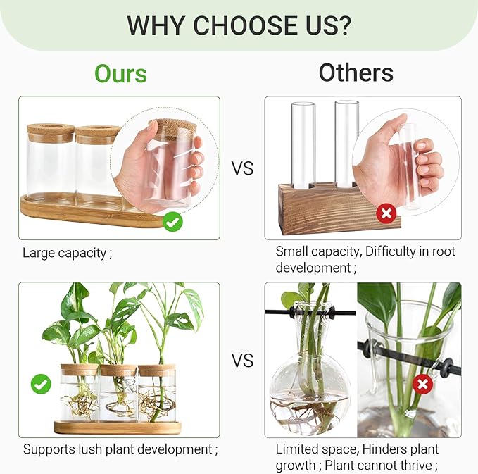 Dahey Plant Propagation Terrarium Desktop Glass Planter Station Water Planting Glass Vase with Lid and Wooden Stand for Propagating Hydroponic Plants Centerpiece Office Home Garden Decor, 3 Pcs