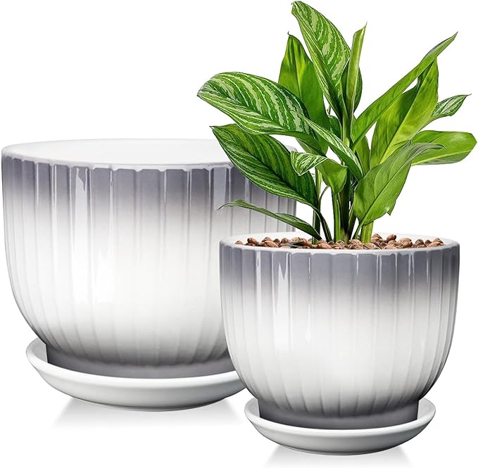 6.7 + 5.5 Inch Plant Pot, Ceramic Planter with Drainage and Saucer, Ceramic Pots for Plants, Indoor Plant pots,Ceramic Flower pots（Gray + White, Plants NOT Included）