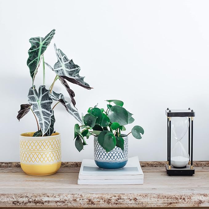 Ceramic Plant Pots, 6 + 4.7 inch Yellow Plant Pot, Flower Pots for Indoor Plants， Planter with Drainage Hole for Succulent Orchid Snake Plants Cactus