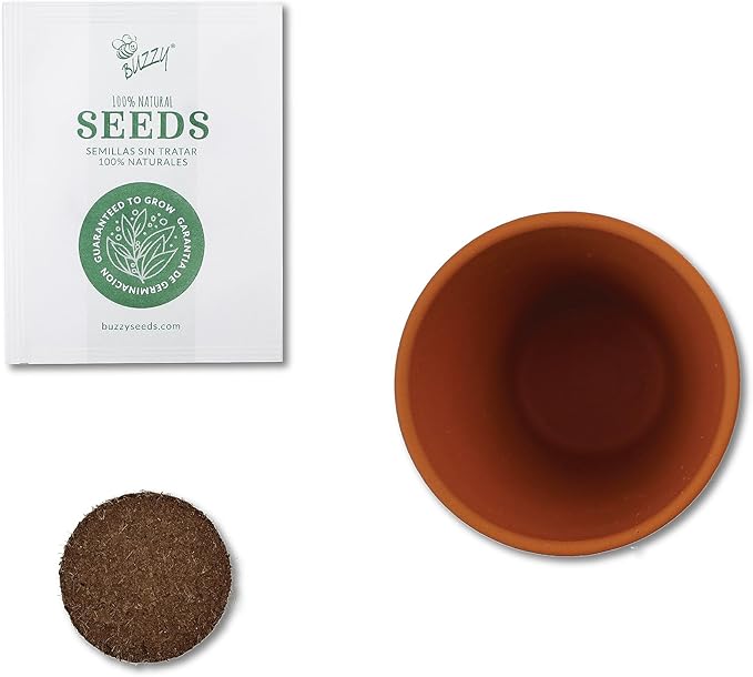 BUZZY Seeds Terracotta Mini Grow Pots | Herb, Plant, Flower Starter Kit for Kids & Adults | Mini Cactus 6-Pack, Daydream Collection | Guaranteed to Grow | Best Indoor Grow Your Own Plant