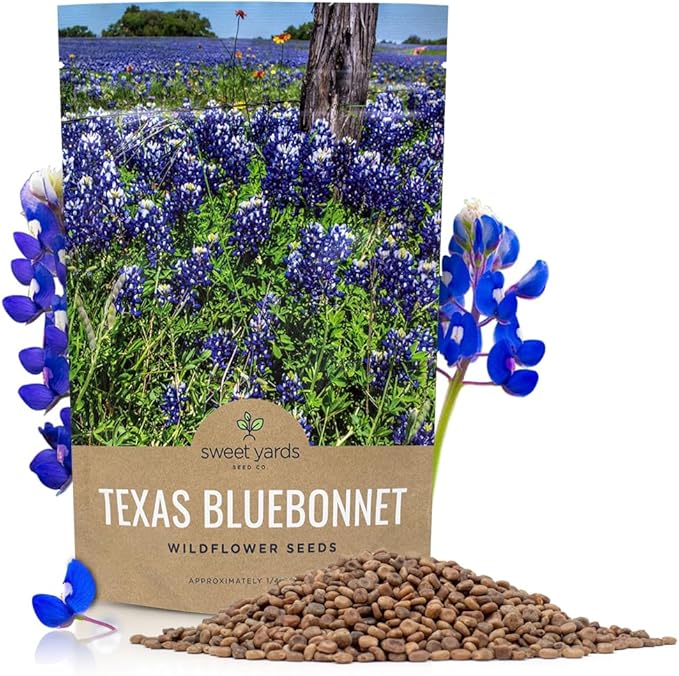 Texas Bluebonnet Wildflower Seeds - Bulk 1/4 Pound Bag - Over 4,000 Native Seeds - Texas State Flower!