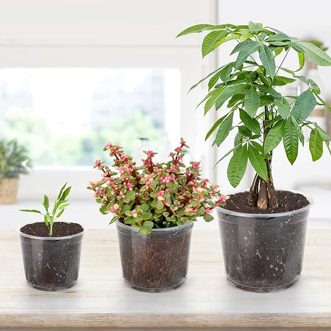 4/5/6/7 Inch Clear Nursery Pots with Drainage Holes, 28 Pack Nursery Pots Variety Pack, Durable Transparent Plastic Pots for Plants, Seed Starter Pots, Garden Flower Orchid Pots(4+5+6+7 Inch)