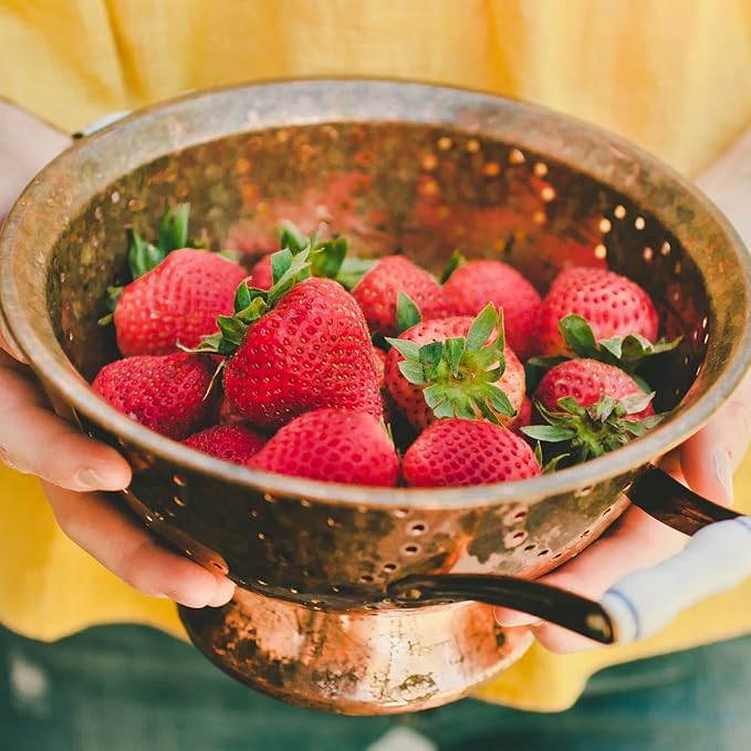 Bonnie Plants Strawberry, Live Plant, 19.3 oz. (4-Pack)